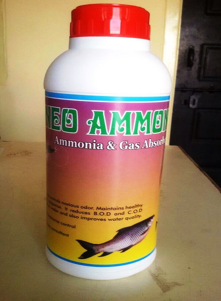 NEO AMMONIA